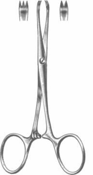  Chaput Forceps